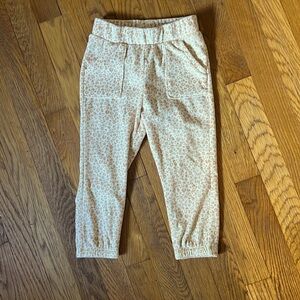 Cat & Jack leopard print velour joggers with pockets